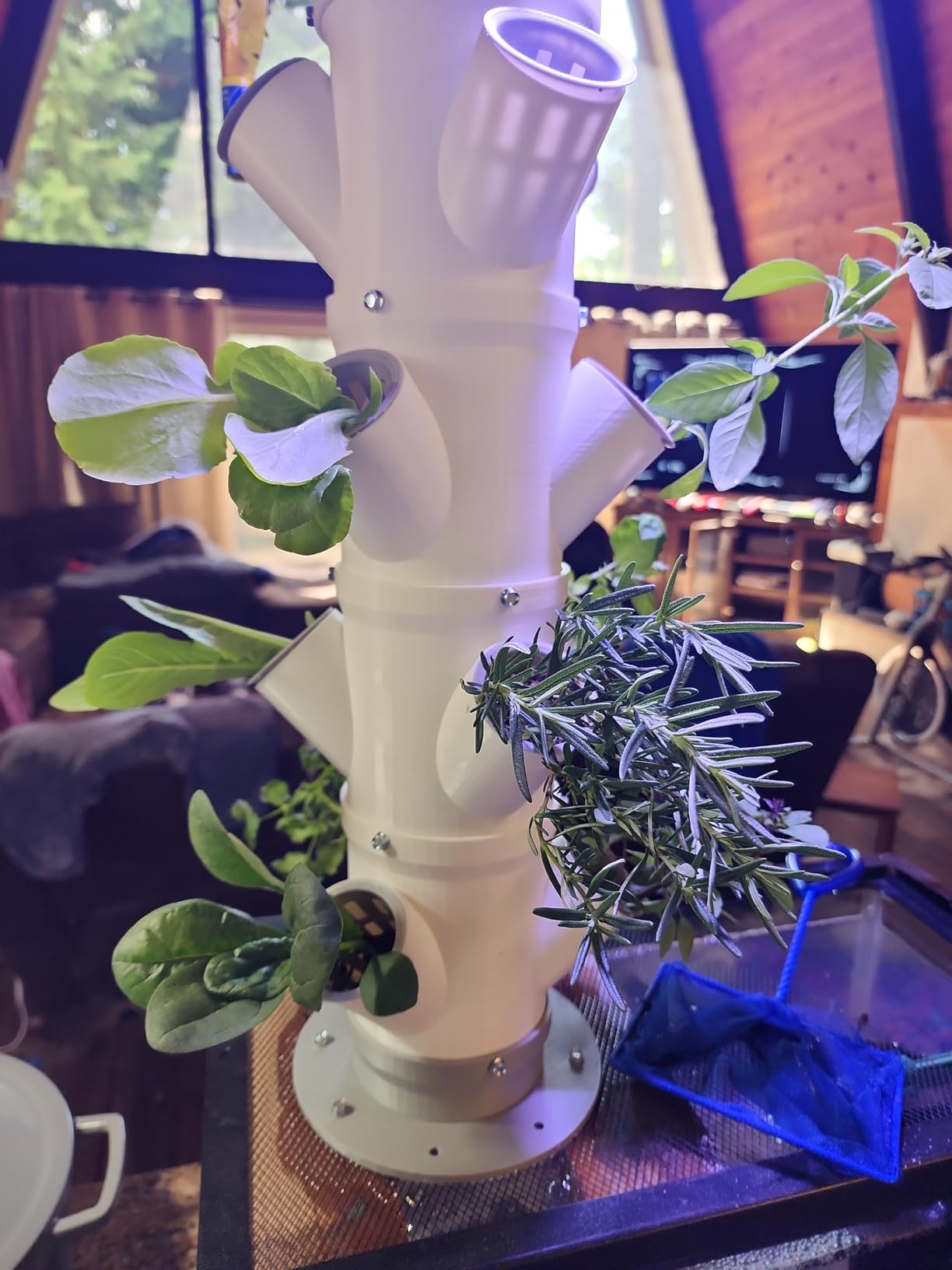 Farmer's Secret Hydroponic Booster Fertilizer - Super Concentrated 4-11-8 Formula - Use with Any Hydroponic or Aeroponic System - Great for Herbs, Veggies, Fruits, and More (32oz) customer photo 1
