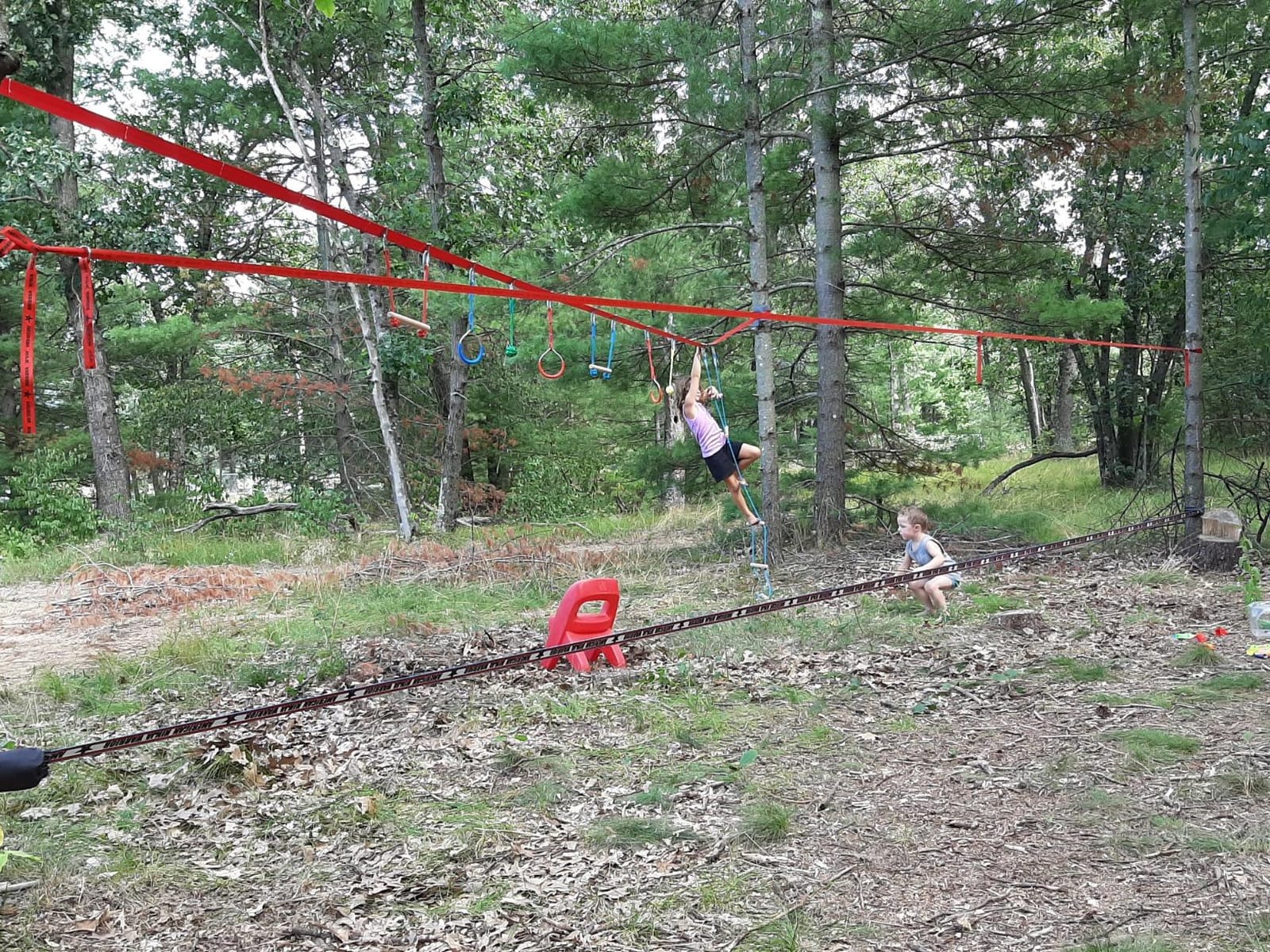 Ninja Warrior Obstacle Course for Kids-Playground Fitness Equipment Ninja Slackline with Multiple Accessories for Kids,Contain Swings,Rope ladders,Rings,Ninja Couse for Kids Outside (2x56ft) customer photo 1