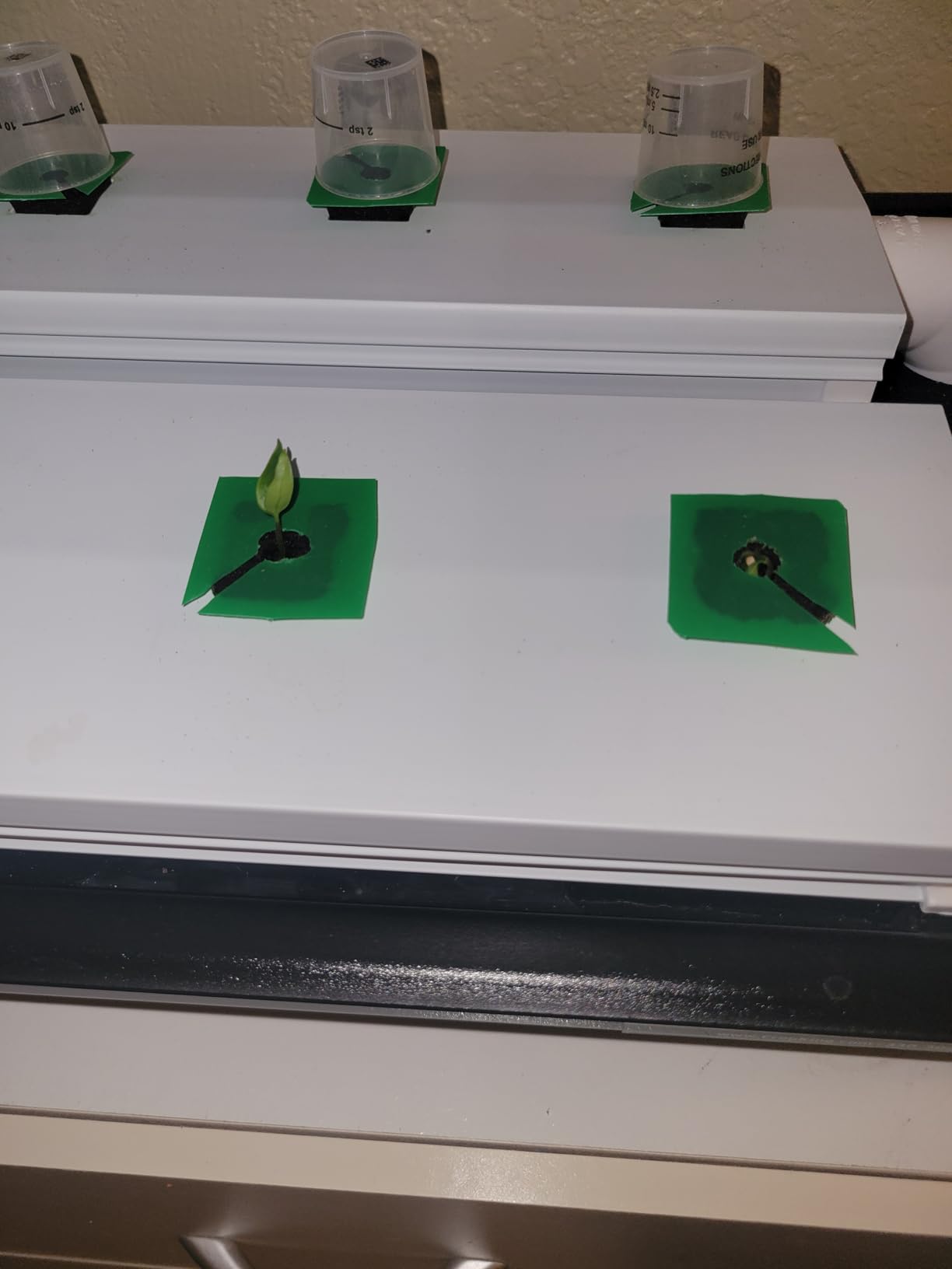 Hydroponic Nutrients- Liquid Plant Food for Edible Plant 8oz, 8 oz (250mL) customer photo 1