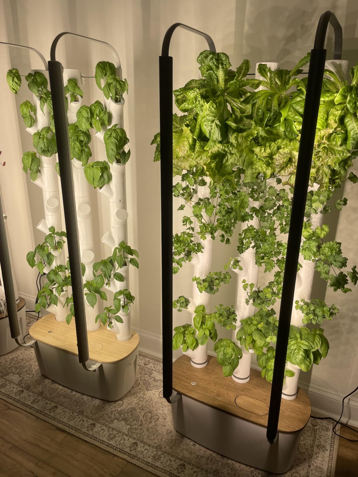 Hydroponic Nutrients- Liquid Plant Food for Edible Plant 8oz, 8 oz (250mL) customer photo 2