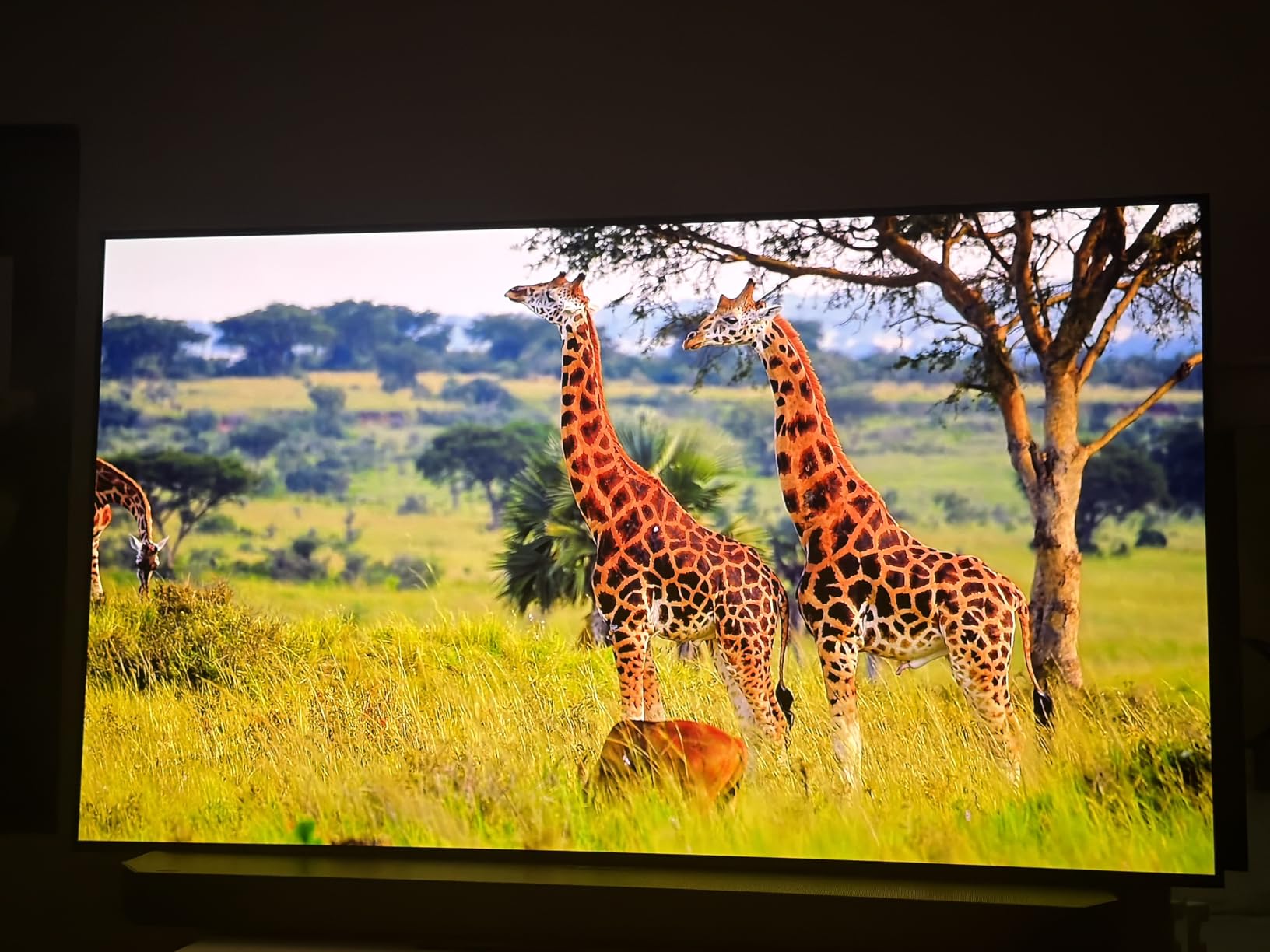 Samsung 55-inch S90F customer photo 1
