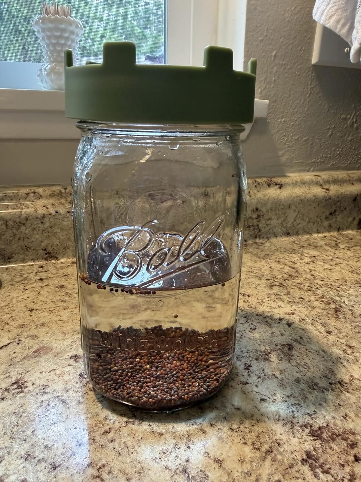Elementi Sprouting Jar Kit - Set of 2 Wide Mouth Mason Jars with Sprout Lids & Stainless Steel Mesh Screen - Seed Sprouting Kit & Sprout Jars for Growing Broccoli Sprouts, Alfalfa, Mung Bean Sprouter customer photo 1