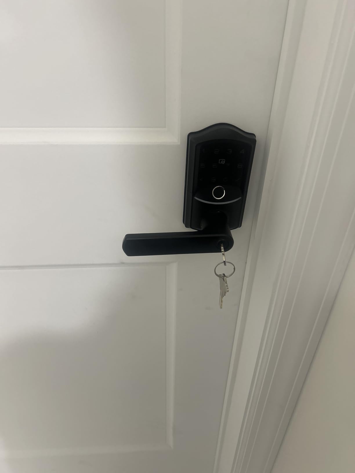 Veise VE019 Smart Lever Lock, Keypad Door Knob with Handle, Satin Nickel customer photo 2