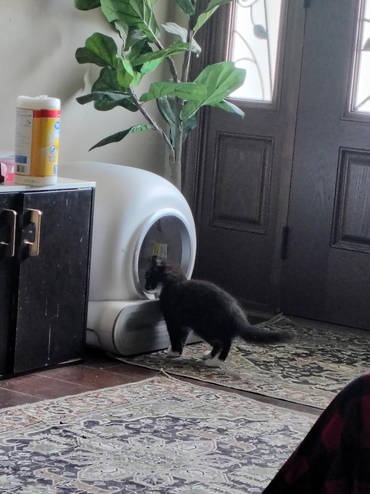 Automatic Litter Box, APP Control, 65L+9L Large Capacity,3 Rolls Litter Bag customer photo 1