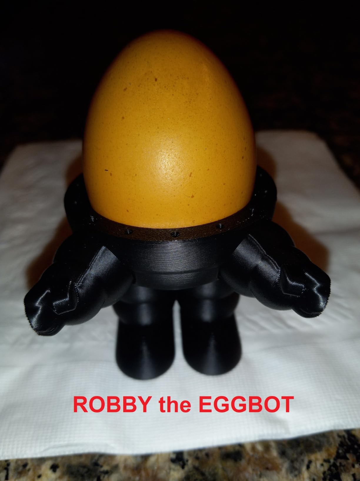 ELEGOO Centauri 2 Combo 3D Printer, Beginner-Friendly Multicolor Printing customer photo 2