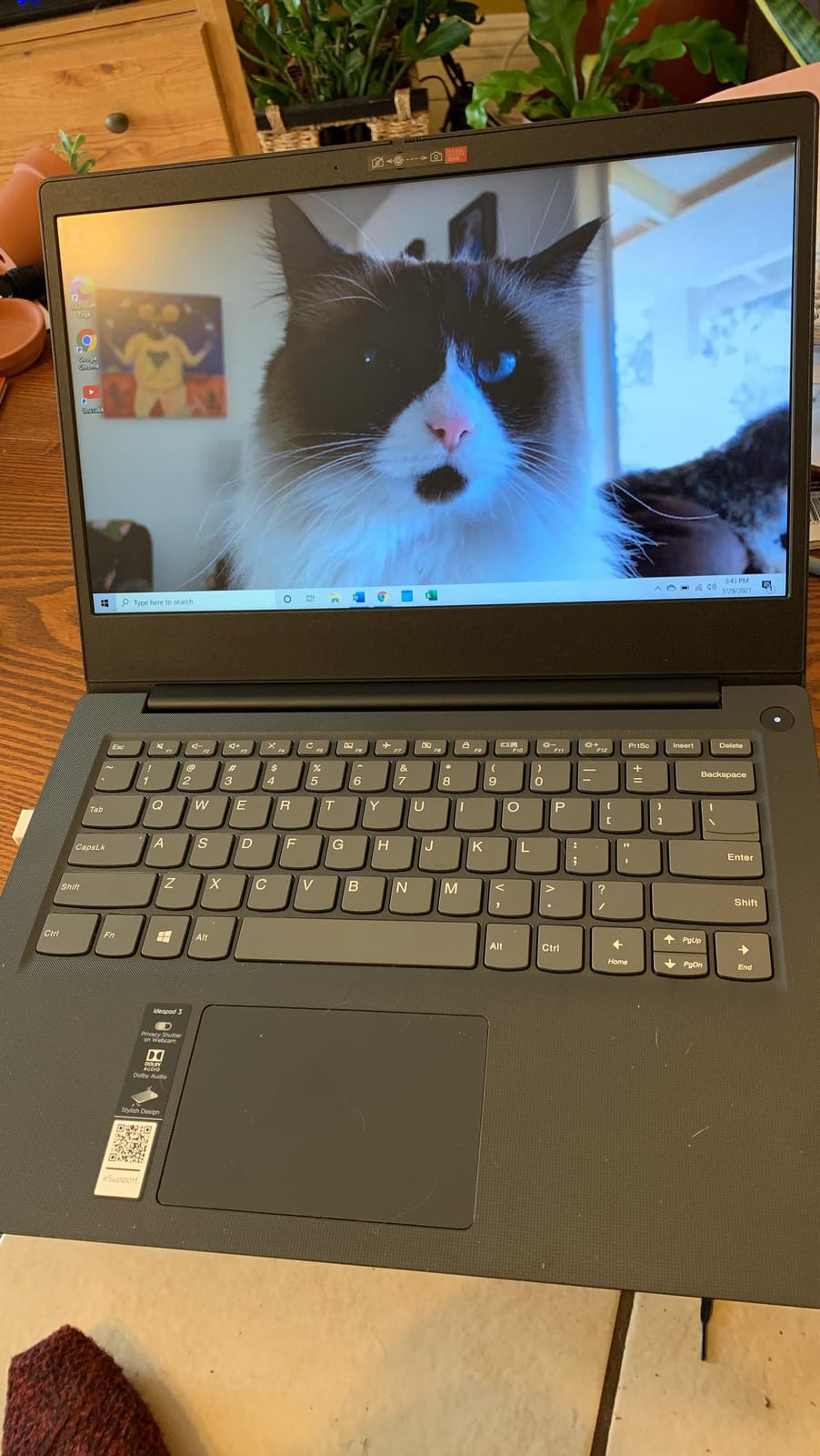 Lenovo IdeaPad Slim 3 16 customer photo 1